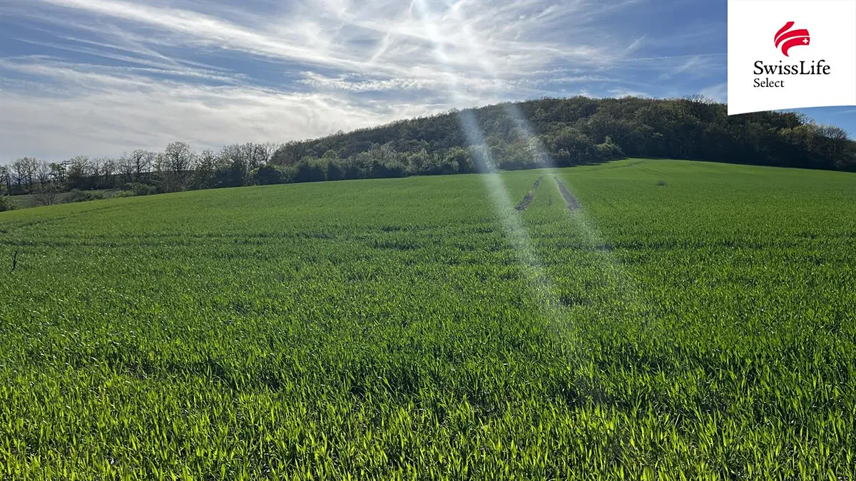 Prodej pole 4151 m²